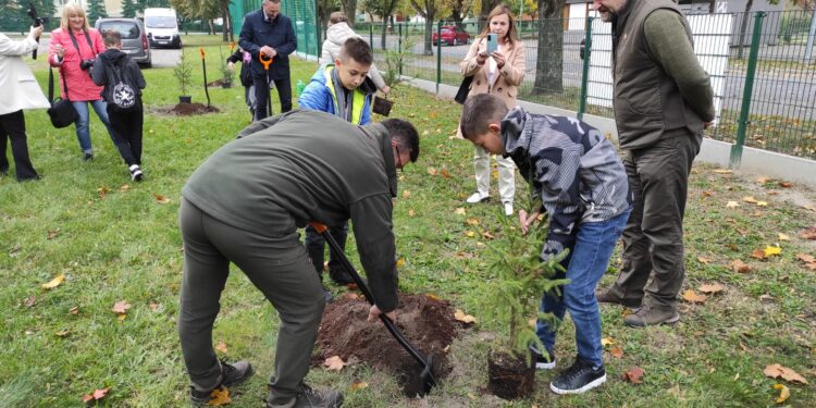 Mielec: Posadzili „elektryczny las”.