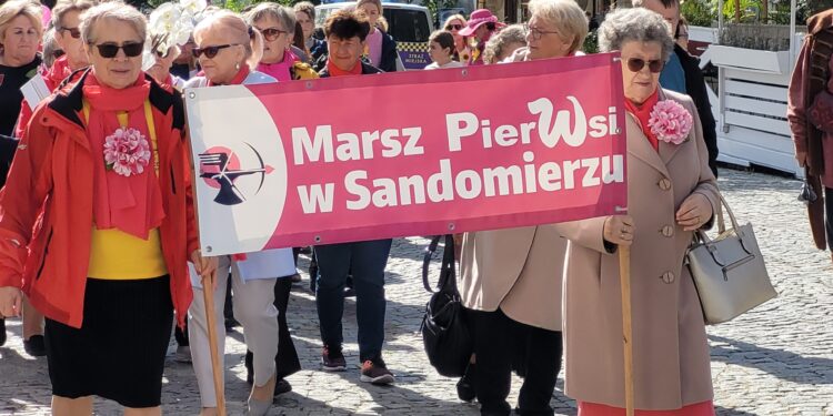 Sandomierz: Warto się badać.