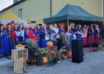 Śmiechowice: Święto Pieczonego Ziemniaka – foto.