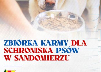 Sandomierz: Zbiórka karmy dla zwierząt podczas niedzielnego meczu.