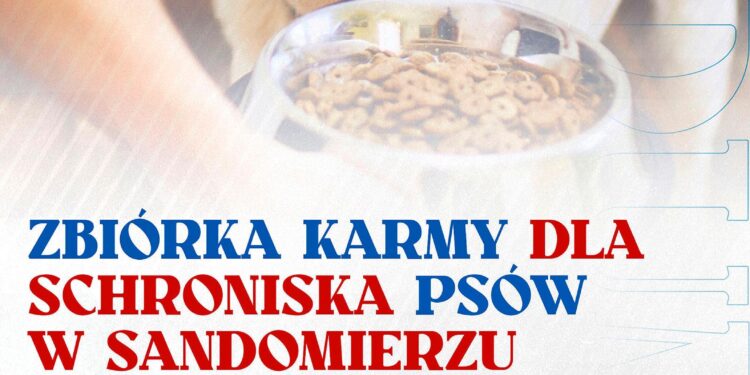 Sandomierz: Zbiórka karmy dla zwierząt podczas niedzielnego meczu.
