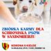 Sandomierz: Zbiórka karmy dla zwierząt podczas niedzielnego meczu.