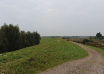 Gorzyce. Łęg już nie będzie groźny