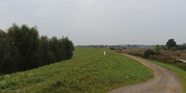 Gorzyce. Łęg już nie będzie groźny