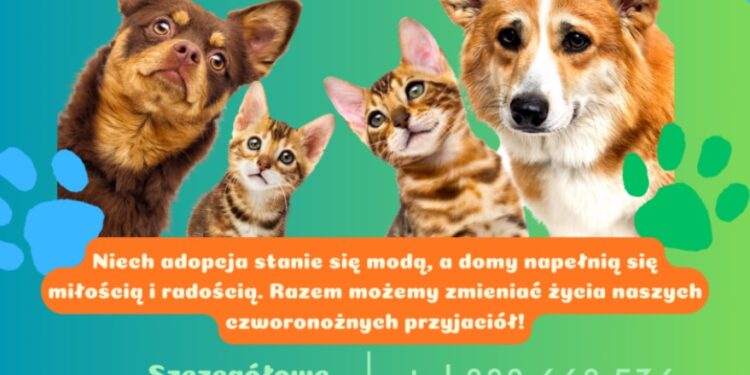 Mielec: Nie kupuj! ADOPTUJ