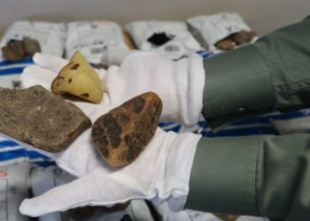 Region: Udaremnili przemyt bursztynu.