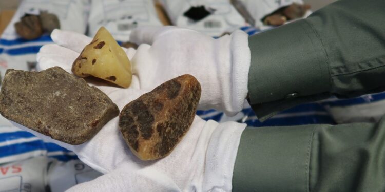 Region: Udaremnili przemyt bursztynu.