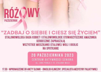 Stalowa Wola, Jastkowice: w powiecie potrzebne dwa przejścia dla pieszych