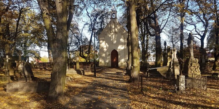 Tarnobrzeg. Będą kwestować po raz 25