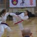 Mielec: Po raz 13. turniej SHORIN- RYU Karate