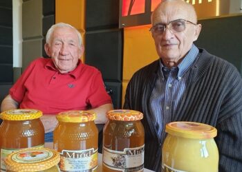 Tarnobrzeg. Teraz miód smakuje najlepiej