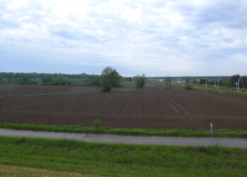 Stalowa Wola: Ruszy projektowanie drogi na planowanych nowych osiedlach w Charzewicach