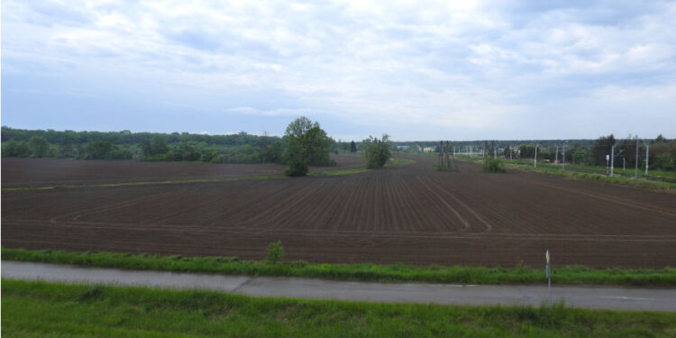 Stalowa Wola: Ruszy projektowanie drogi na planowanych nowych osiedlach w Charzewicach