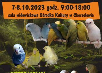Mielec:  Egzotyka Ponownie w Chorzelowie