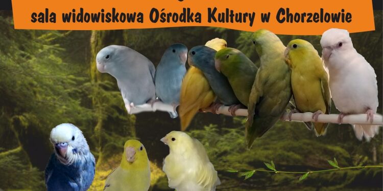 Mielec:  Egzotyka Ponownie w Chorzelowie