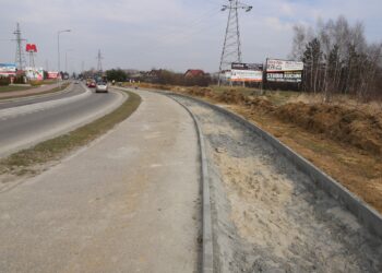 Mielec:  Zakończono inwentaryzację Szafera