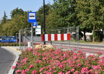 Stalowa Wola: Odsłonięto tablicę pamiątkową dyrektora Malickiego przy ulicy jego imienia