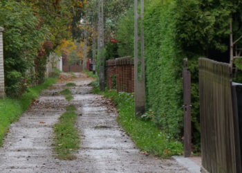 Stalowa Wola: Kiermasz taniej książki w Bibliotece Głównej