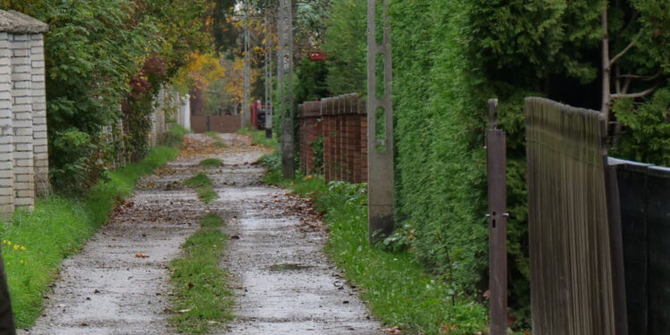 Stalowa Wola: Kiermasz taniej książki w Bibliotece Głównej