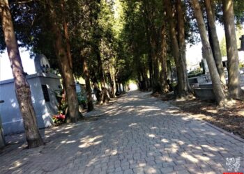 Dębica:  Kwesta na ratowanie Starego Cmentarza w Dębicy