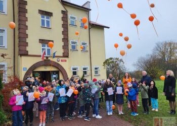 Tarnobrzeg. Dzień Tumbo w szóstce