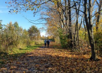 Tarnobrzeg. Trasa spacerowo – rowerowa od muzeum siarki do parku dzikowskiego zostanie oświetlona
