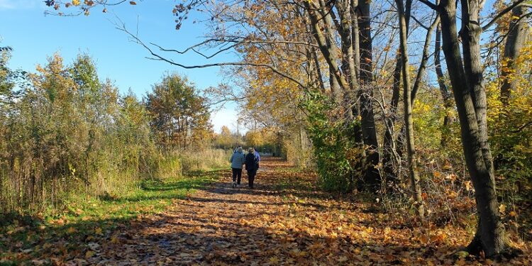 Tarnobrzeg. Trasa spacerowo – rowerowa od muzeum siarki do parku dzikowskiego zostanie oświetlona