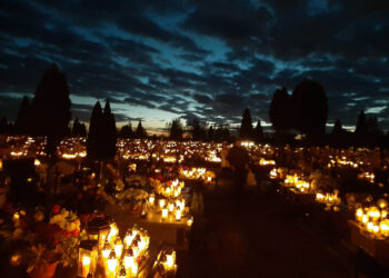 Powiat Stalowowolski: Na drogach powiatu było bezpiecznie