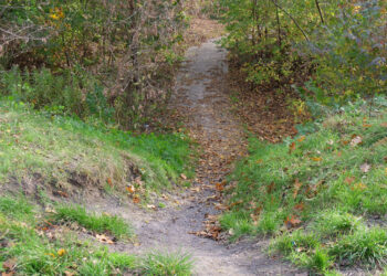 Stalowa Wola: Przegrana Stali z Radunią