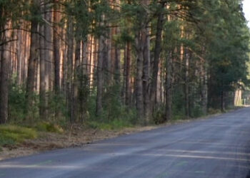 Zalesie: Rusza przebudowa drogi powiatowej do Nowosielca