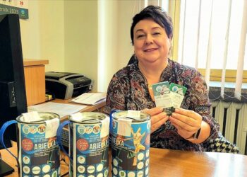 Tarnobrzeg. Jeszcze są cegiełki na spektakl „Syrenka Ariel”, ale warto się pospieszyć