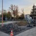 Nowa Dęba. Z plant znika charakterystyczny garb