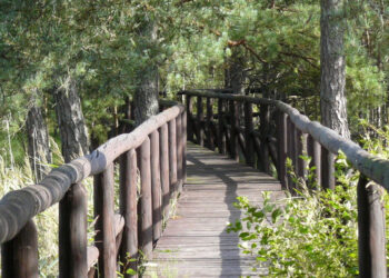 Stalowa Wola: W sobotę Rajd Rowerowy na Imielity Ług