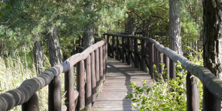 Stalowa Wola: W sobotę Rajd Rowerowy na Imielity Ług