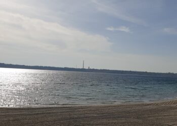 Tarnobrzeg. Wyłoniono firmę, która zaprojektuje molo