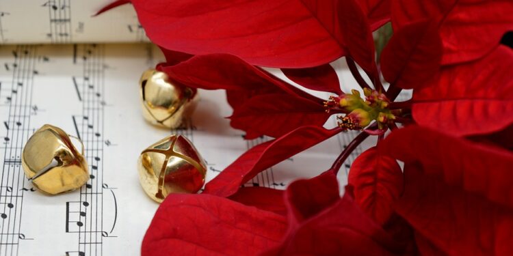 Tarnobrzeg. „Anielskie Kolędowanie”