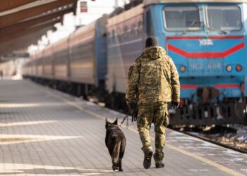 Mielec:  Chciał ominąć kontrolę…