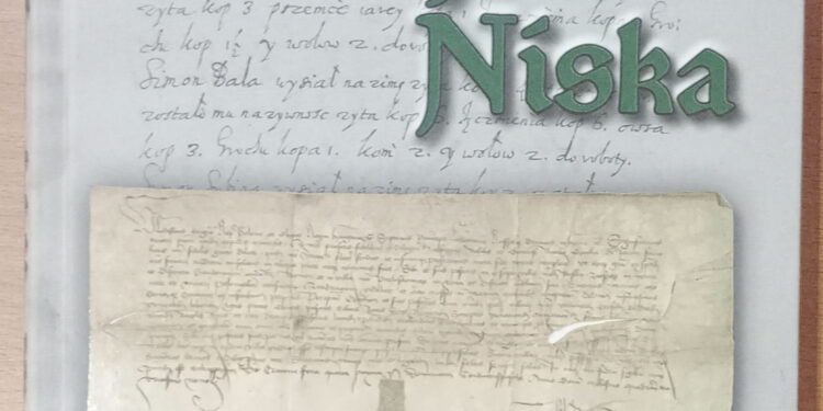 Nisko: Zarys Dziejów Niska wstępem do większego opracowania