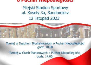 Rodzinny Turniej w Grach Planszowych o Puchar Niepodległości.