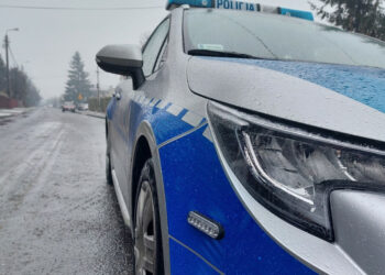 Powiat Niżański: Nieodpowiedzialność babci mogła doprowadzić do tragedii