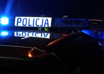 Stalowa Wola: 11 Listopada pracowity dla strażaków