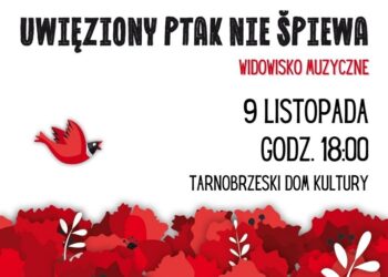 Tarnobrzeg. „Wydarzenie, które warto i trzeba zobaczyć”