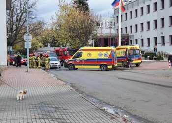 Mielec: Funkcjonariuszki mieleckiej policji potrącone na przejściu dla pieszych
