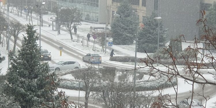 Tarnobrzeg. Odśnieżanie