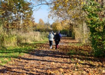 Tarnobrzeg. Rajd z przewodnikiem w Święto Niepodległości