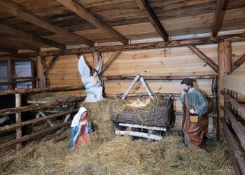 Sandomierz; Żywa szopka po raz szósty.