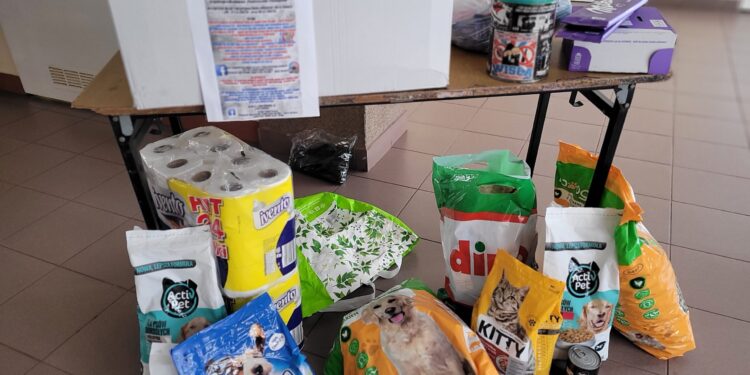 Sandomierz: Niezapomniane emocje w ramach „Wiślackiej Gwiazdki”.