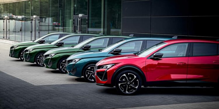 Jamnica: Nowy salon, nowe miejsca pracy