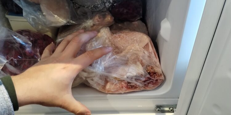 Kolbuszowa: Zagadkowa kradzież… mięsa z lodówki