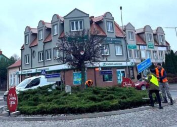 Tarnobrzeg. Rondo „Choinki Życzeń”